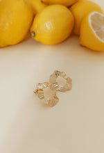 Charger l'image dans la galerie, Boucles d'oreilles ICE