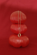 Charger l'image dans la galerie, Collier BOLO