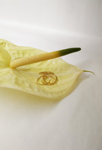 Charger l'image dans la galerie, Bague NAMI - 5 anneaux - 2 tailles