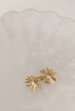 Charger l'image dans la galerie, Boucles d'oreilles COLETTE