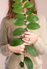 Charger l'image dans la galerie, Bague réglable CARYOTA