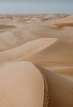 Charger l'image dans la galerie, Bague TOTEM