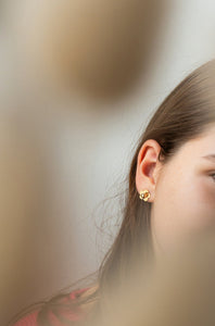 ♥ Boucles d'oreilles ROSA
