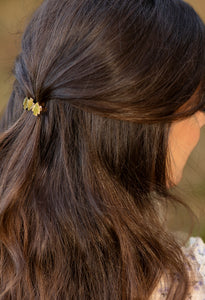 Barrette COLIBRI
