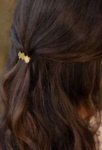 Barrette COLIBRI