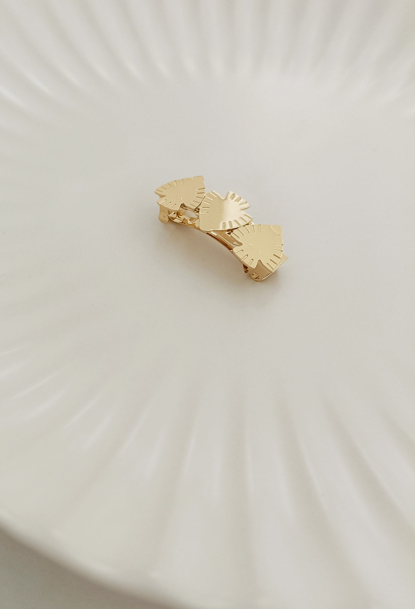 Barrette COLIBRI