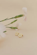 Charger l&#39;image dans la galerie, ♥ Boucles d&#39;oreilles ROSE
