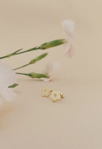 ♥ Boucles d'oreilles ROSE