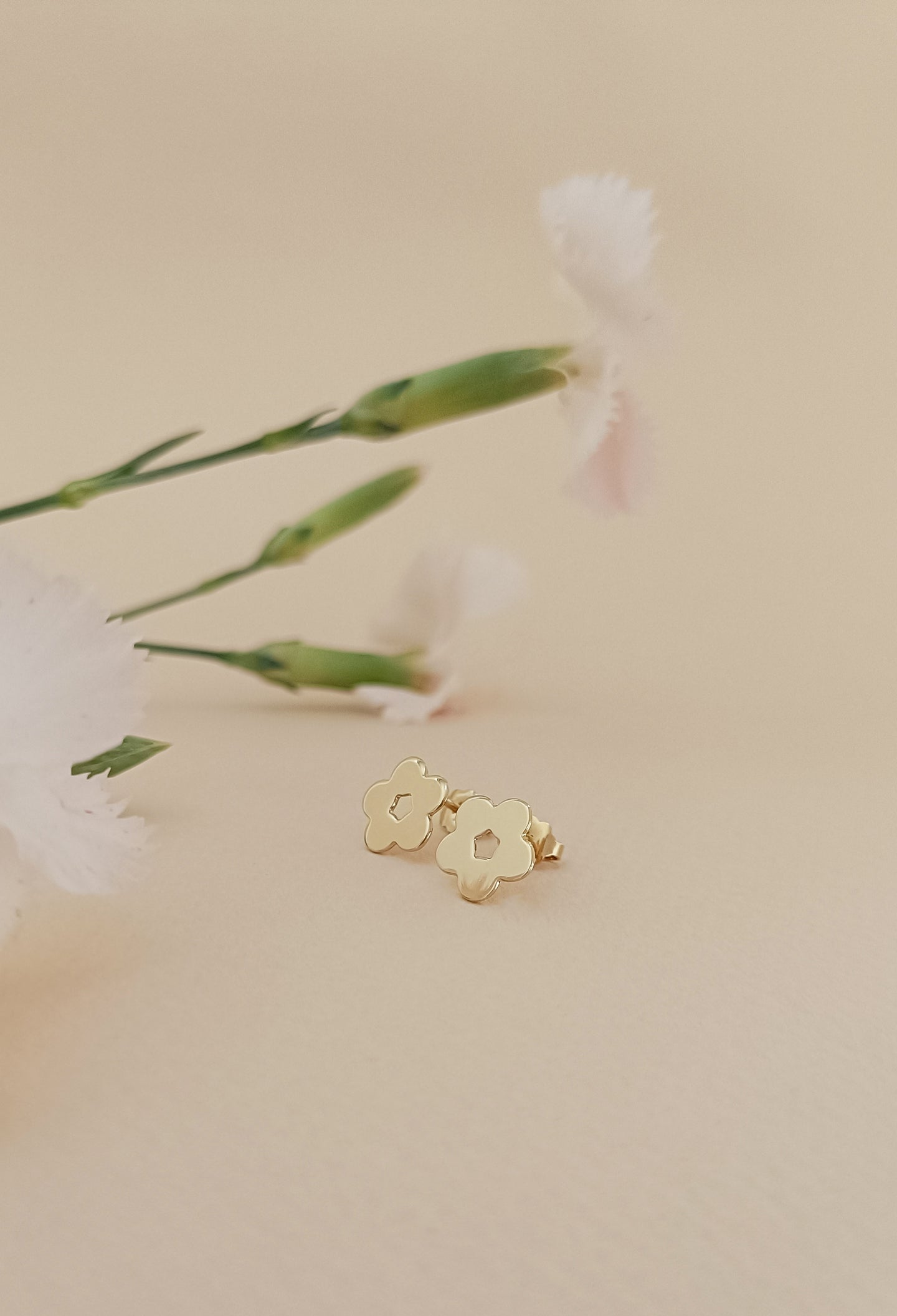 ♥ Boucles d'oreilles ROSE