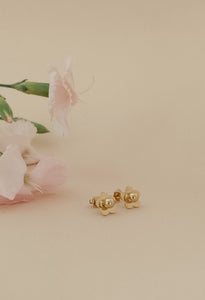 ♥ Boucles d'oreilles ROSA