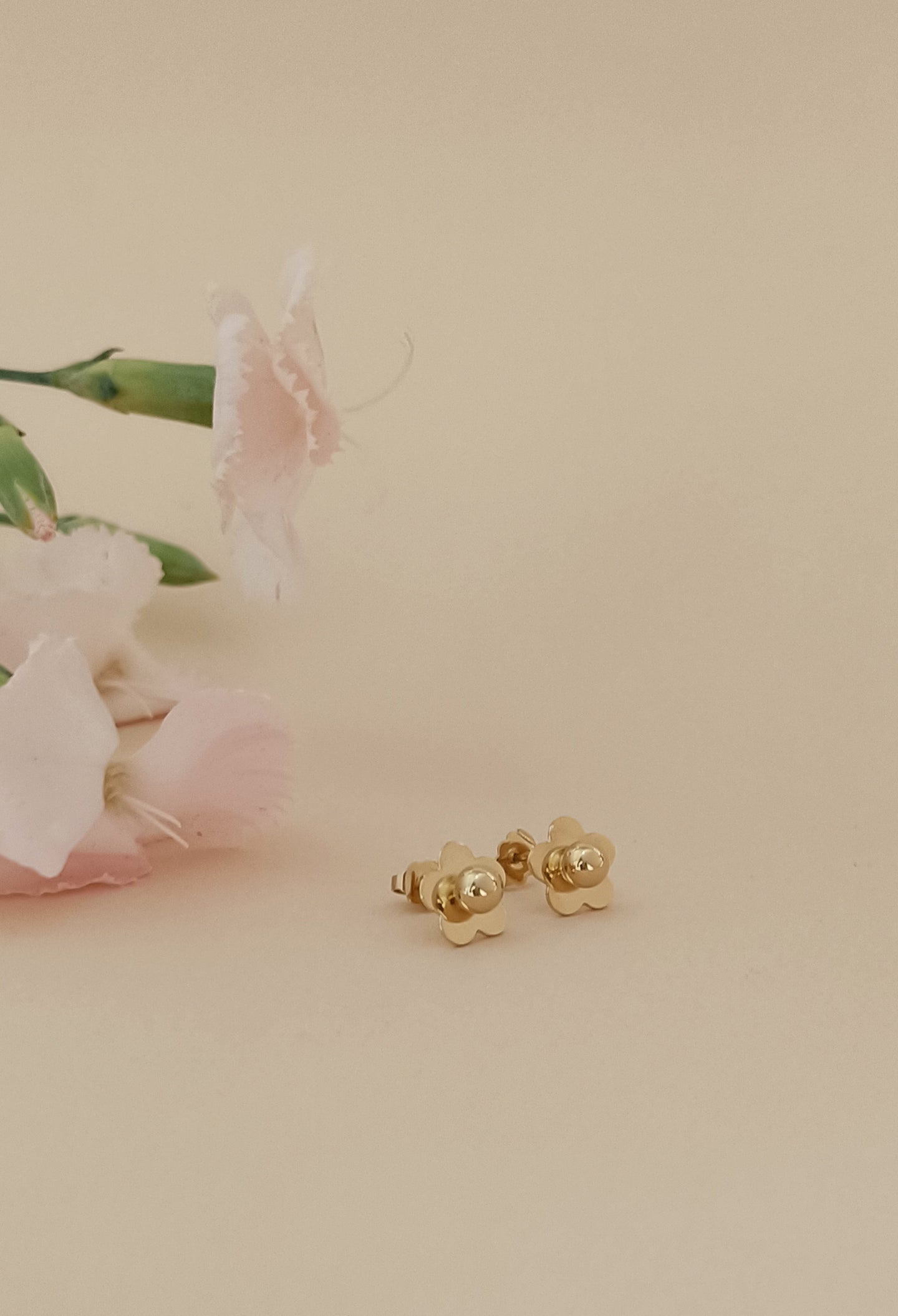 ♥ Boucles d'oreilles ROSA