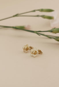 ♥ Boucles d'oreilles ROSA
