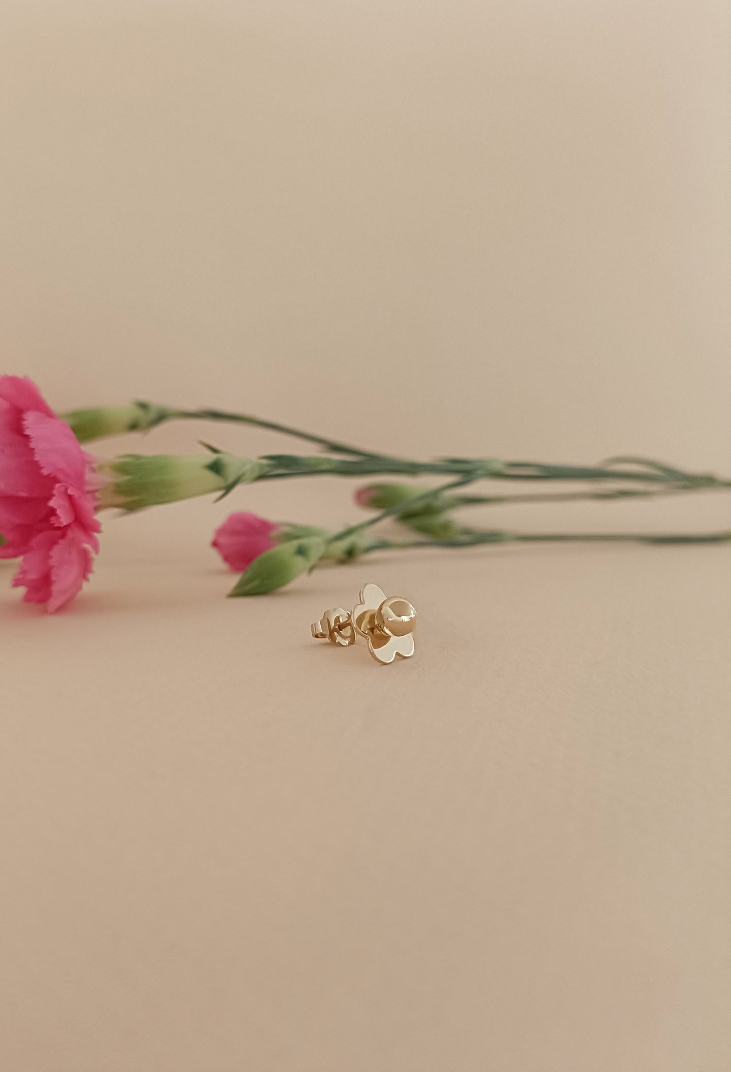 Mono boucle ROSA