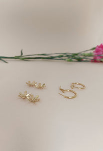 Boucles d'oreilles CRÉOLES VENUS