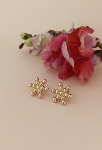 Boucles d'oreilles GRANDES GALA