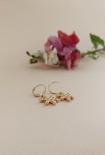 Charger l&#39;image dans la galerie, Boucles d&#39;oreilles DORMEUSES GALA

