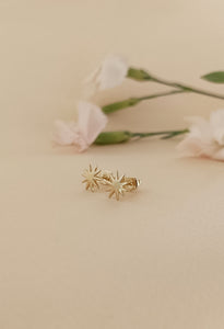 ♥ Boucles d'oreilles SALLY