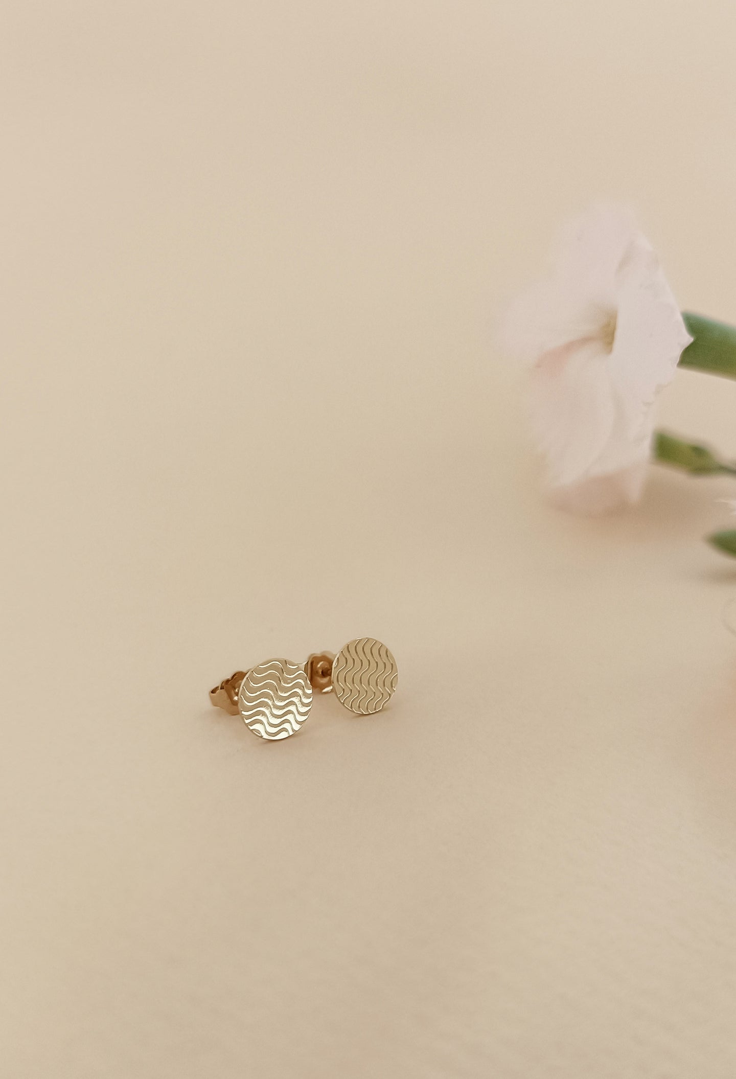 ♥ Boucles d'oreilles EVE