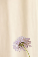 Charger l&#39;image dans la galerie, Boucles d&#39;oreilles MARGARETTE
